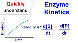 Enzyme kinetics [upl. by Eile]