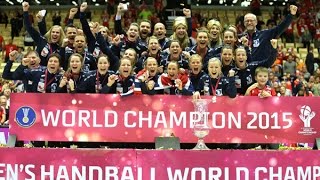 Netherlands VS Norway Handball final Womens World Championship Denmark 2015 [upl. by Uyerta]