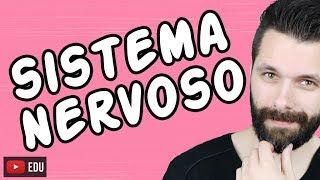 SISTEMA NERVOSO  FISIOLOGIA  Aula  Biologia com Samuel Cunha [upl. by Thomey919]