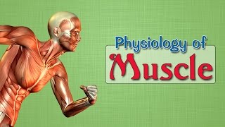 Easy Physiology  Muscle  2Isometric amp Isotonic contractions [upl. by Alekim]