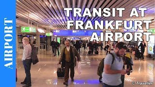 TRANSIT WALK AT FRANKFURT Airport FRA Terminal 1  Connection Flight Transfer Arriving amp Departing [upl. by Tobiah]